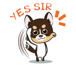 Kenzo & Miumiu sticker #10847385