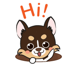 Kenzo & Miumiu sticker #10847388