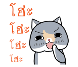 Kenzo & Miumiu sticker #10847392