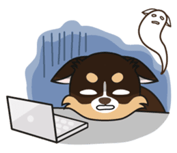 Kenzo & Miumiu sticker #10847396