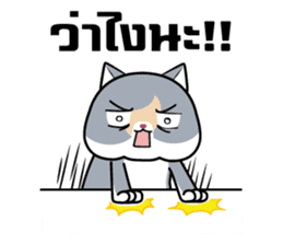 Kenzo & Miumiu sticker #10847398