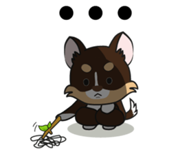 Kenzo & Miumiu sticker #10847399