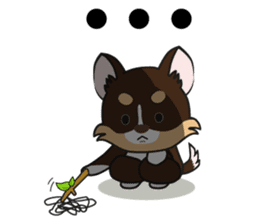 Kenzo & Miumiu sticker #10847399