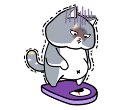 Kenzo & Miumiu sticker #10847400