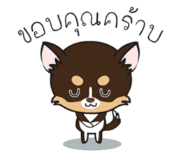 Kenzo & Miumiu sticker #10847403