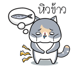 Kenzo & Miumiu sticker #10847409