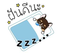 Kenzo & Miumiu sticker #10847411