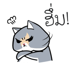 Kenzo & Miumiu sticker #10847414