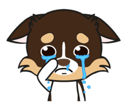 Kenzo & Miumiu sticker #10847415