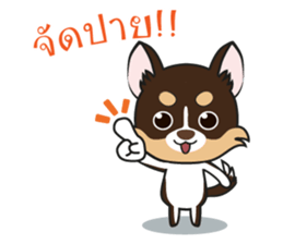 Kenzo & Miumiu sticker #10847416