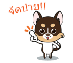 Kenzo & Miumiu sticker #10847416