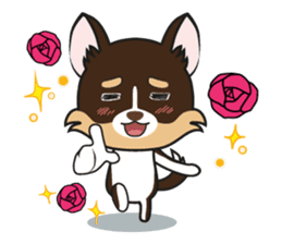 Kenzo & Miumiu sticker #10847419