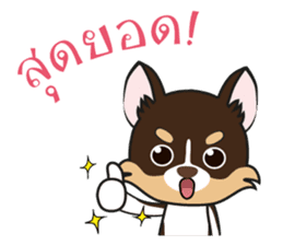 Kenzo & Miumiu sticker #10847423