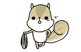 Attach a squirrel to a conversation sticker #10847464