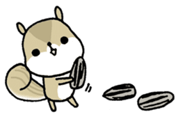 Attach a squirrel to a conversation sticker #10847465