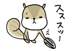 Attach a squirrel to a conversation sticker #10847466