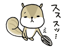 Attach a squirrel to a conversation sticker #10847466