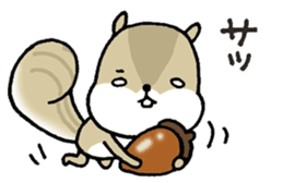 Attach a squirrel to a conversation sticker #10847468