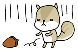 Attach a squirrel to a conversation sticker #10847475