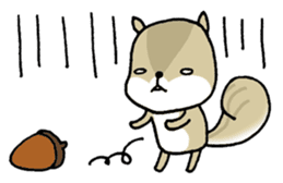 Attach a squirrel to a conversation sticker #10847475