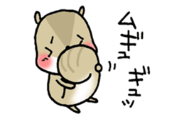 Attach a squirrel to a conversation sticker #10847476