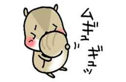 Attach a squirrel to a conversation sticker #10847476