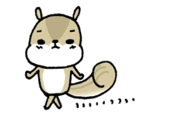 Attach a squirrel to a conversation sticker #10847480