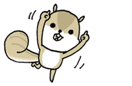 Attach a squirrel to a conversation sticker #10847482