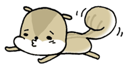 Attach a squirrel to a conversation sticker #10847485