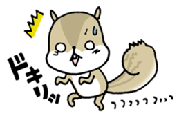 Attach a squirrel to a conversation sticker #10847486