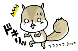 Attach a squirrel to a conversation sticker #10847486