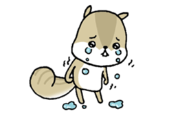 Attach a squirrel to a conversation sticker #10847489