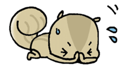 Attach a squirrel to a conversation sticker #10847490