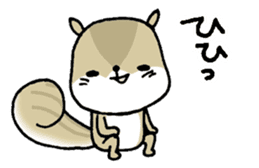 Attach a squirrel to a conversation sticker #10847492