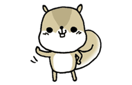 Attach a squirrel to a conversation sticker #10847493