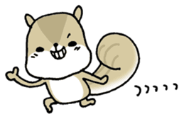 Attach a squirrel to a conversation sticker #10847494