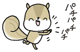 Attach a squirrel to a conversation sticker #10847495