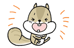 Attach a squirrel to a conversation sticker #10847498