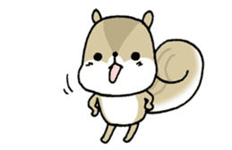 Attach a squirrel to a conversation sticker #10847499