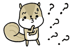Attach a squirrel to a conversation sticker #10847501