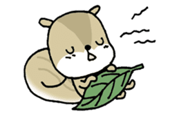 Attach a squirrel to a conversation sticker #10847503