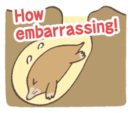 Cute Chatty Animals (English version) sticker #10848783