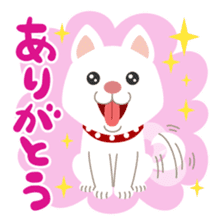 Gokigen Shiba inu's sticker #10850929