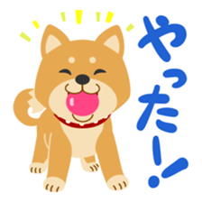 Gokigen Shiba inu's sticker #10850930