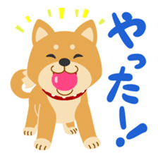Gokigen Shiba inu's sticker #10850930