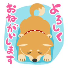 Gokigen Shiba inu's sticker #10850933