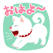 Gokigen Shiba inu's sticker #10850934