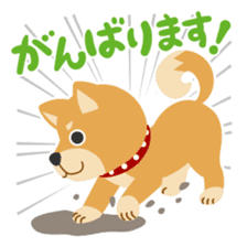 Gokigen Shiba inu's sticker #10850938