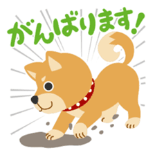 Gokigen Shiba inu's sticker #10850938