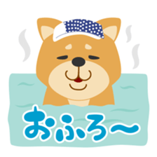 Gokigen Shiba inu's sticker #10850941